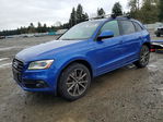 Audi SQ5 2016