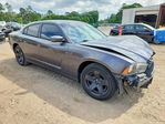 Dodge Charger 2013