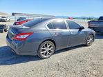 Nissan Maxima 2010