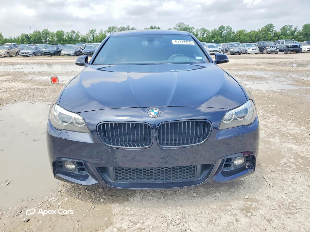 BMW Series 5 2016