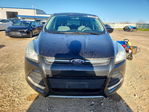 Ford Escape 2013