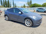 Tesla Model Y 2020