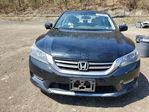 Honda Accord 2013