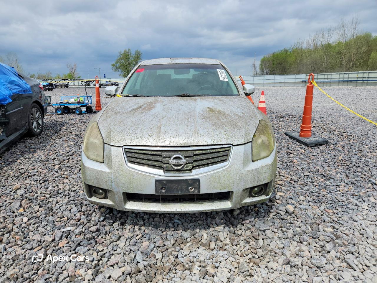 Nissan Maxima 2007