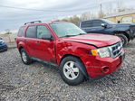 Ford Escape 2011