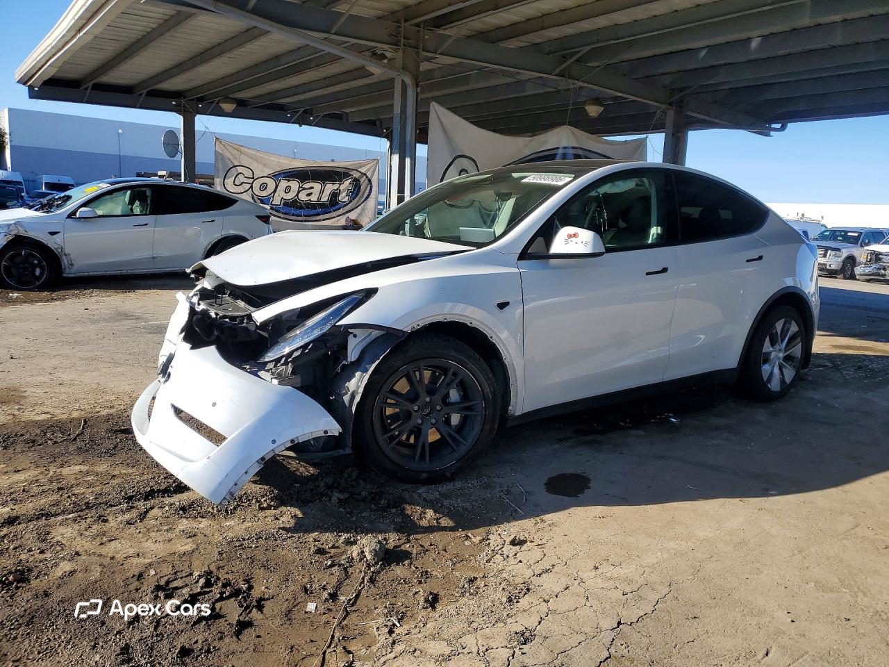 Tesla Model Y 2021