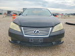 Lexus ES 2012