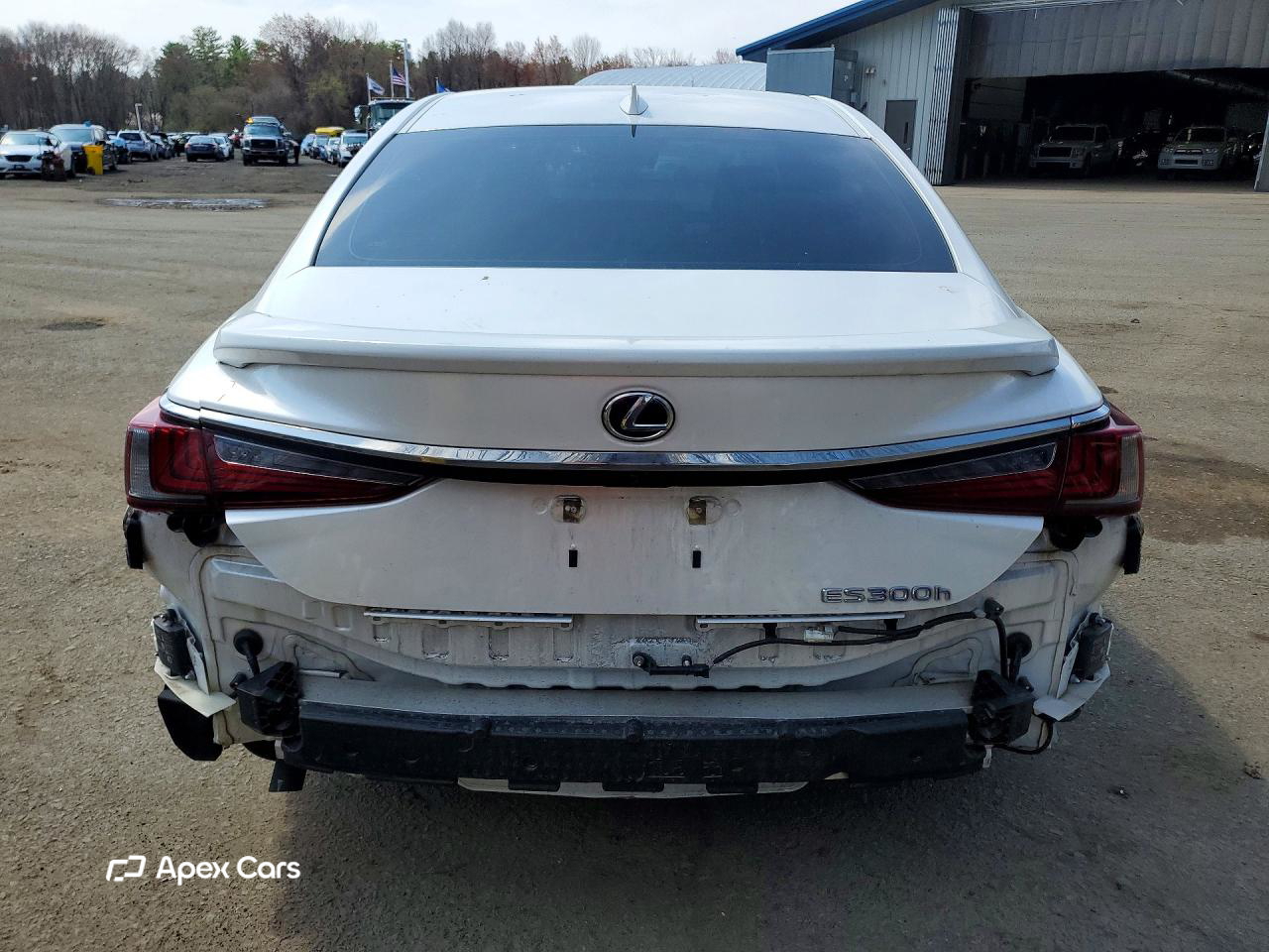 Lexus ES 2021