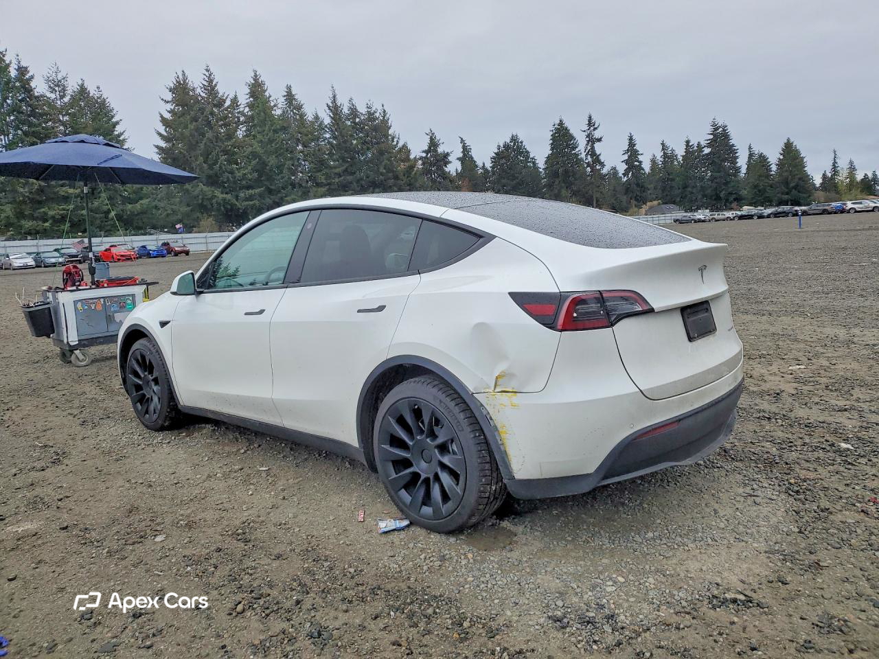 Tesla Model Y 2022