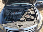 Honda Accord 2011