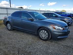 Honda Accord 2011