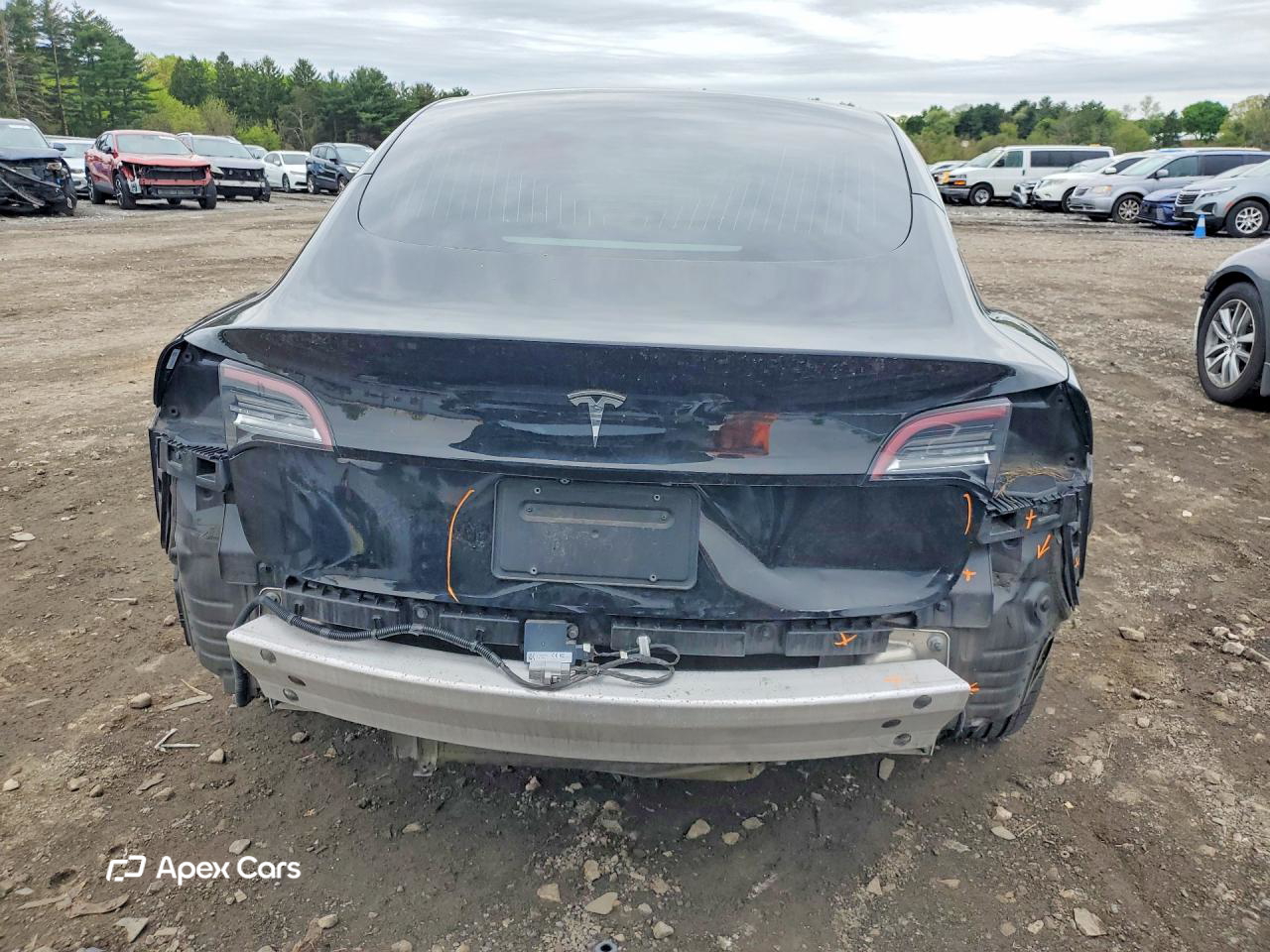 Tesla Model 3 2019