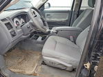 Dodge Dakota 2005