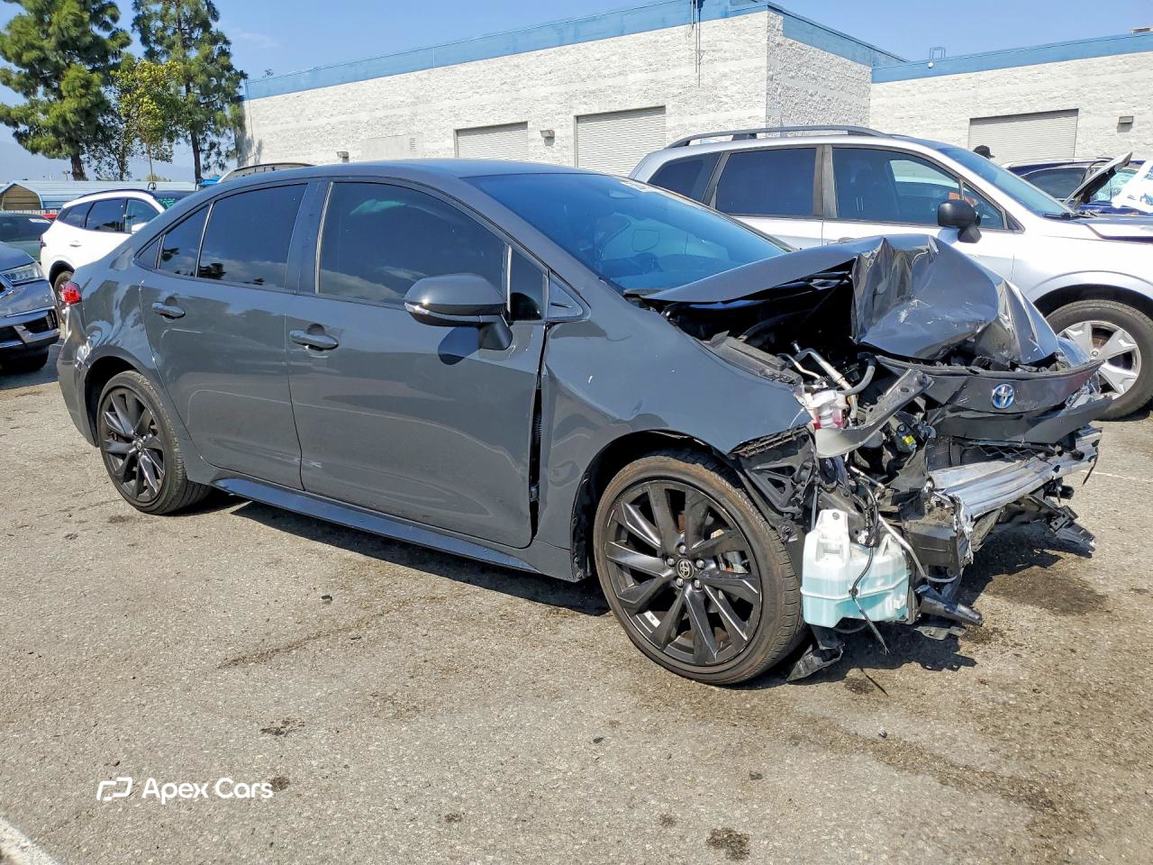 Toyota Corolla 2024