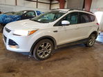 Ford Escape 2013