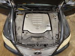 Lexus LS 2010