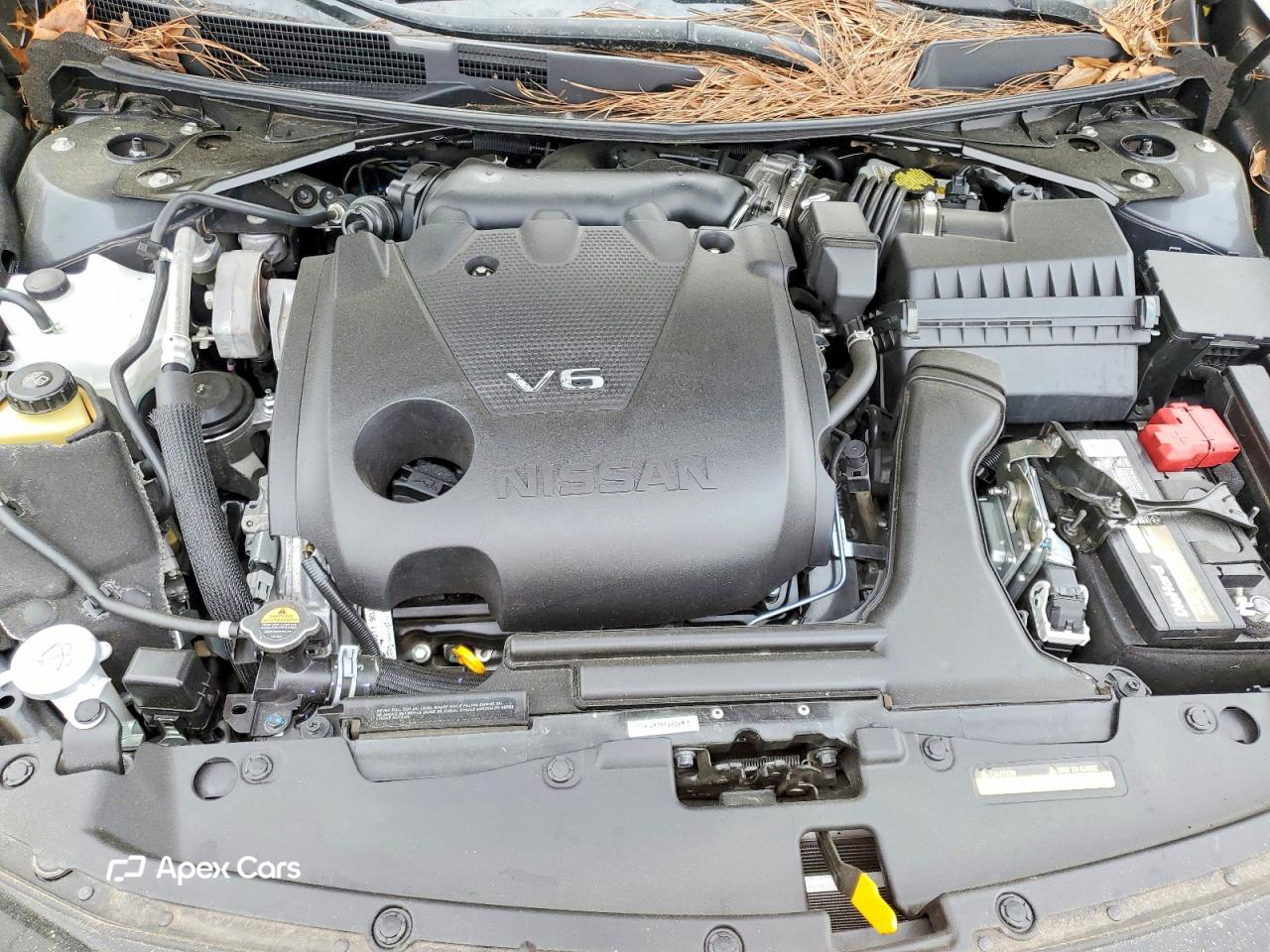 Nissan Maxima 2019