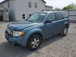 Ford Escape 2011