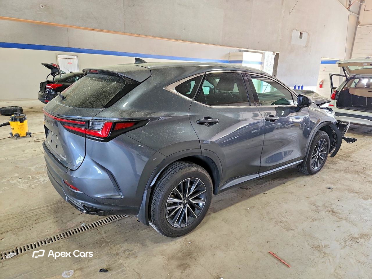 Lexus NX 2025