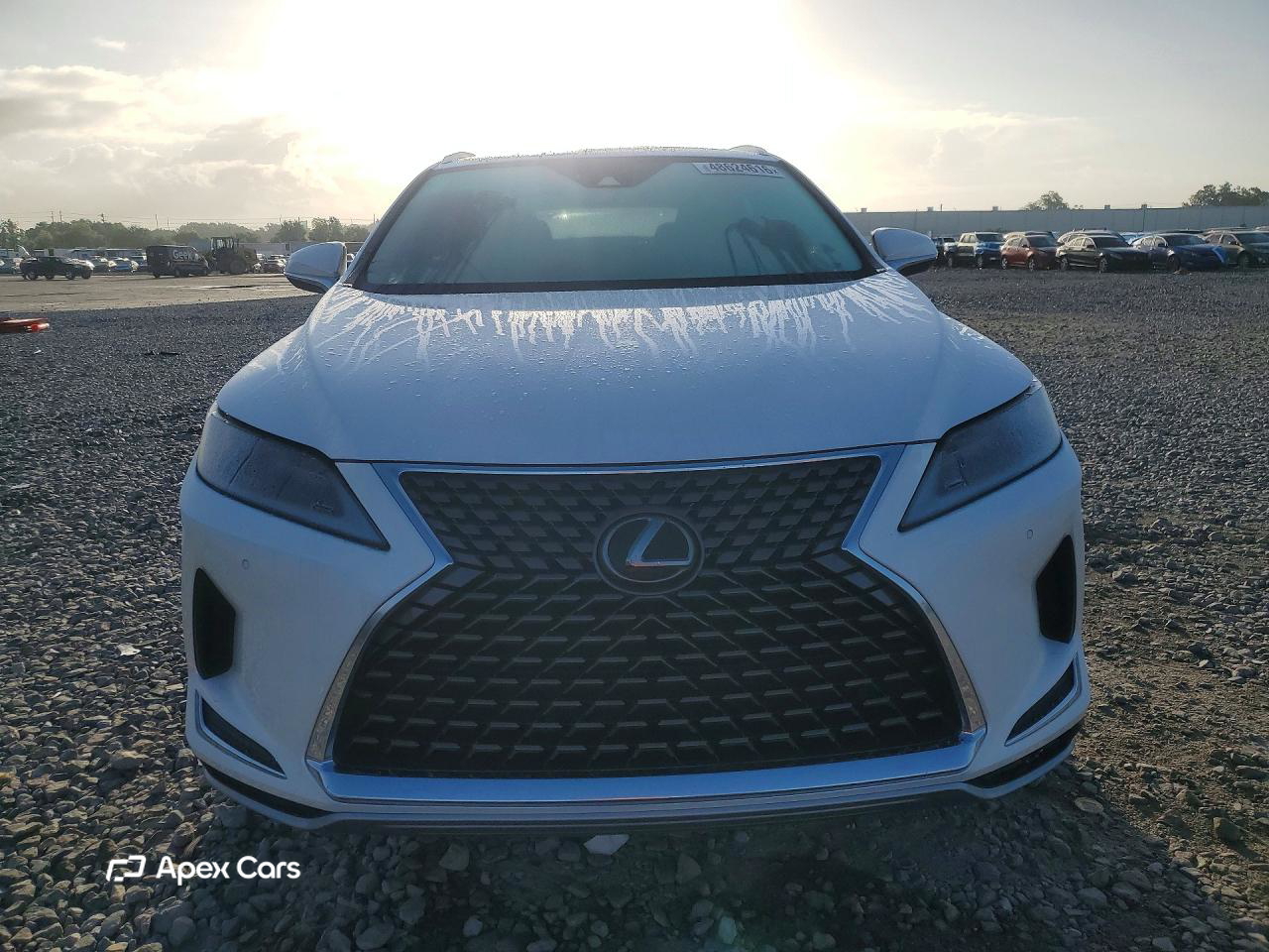 Lexus RX 2020