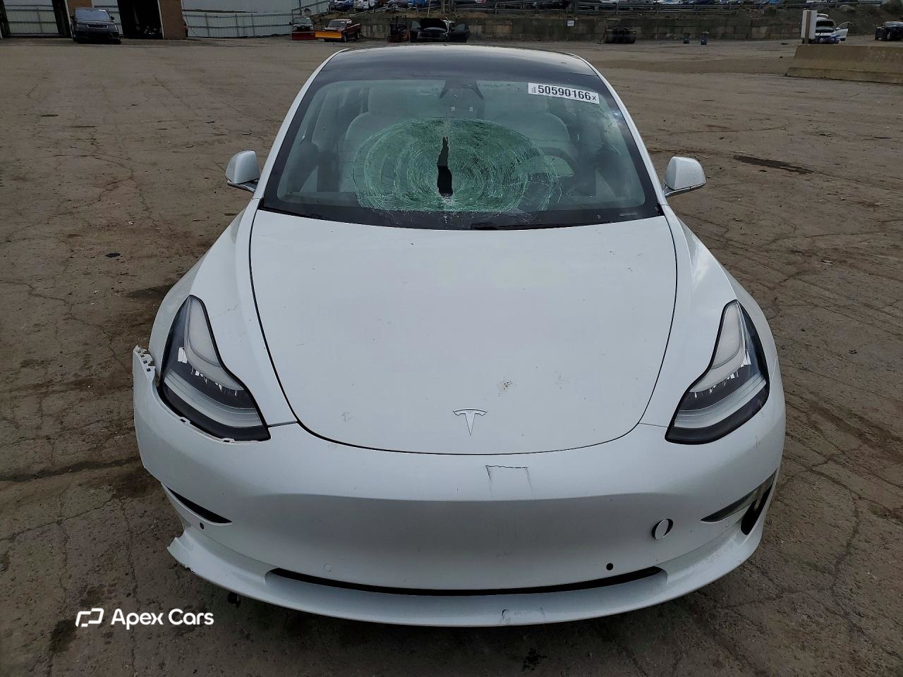 Tesla Model 3 2019