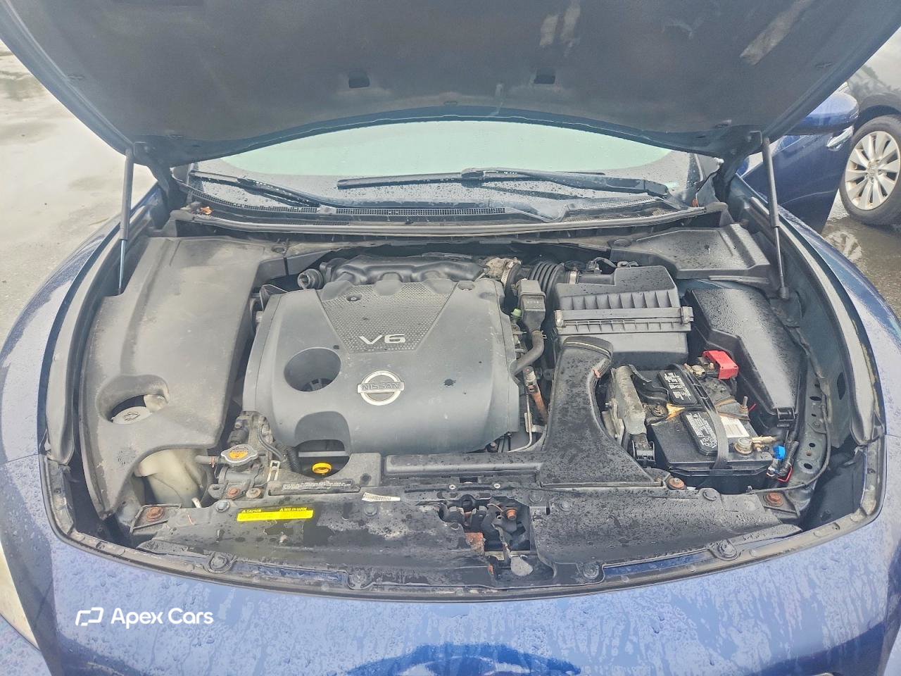 Nissan Maxima 2010
