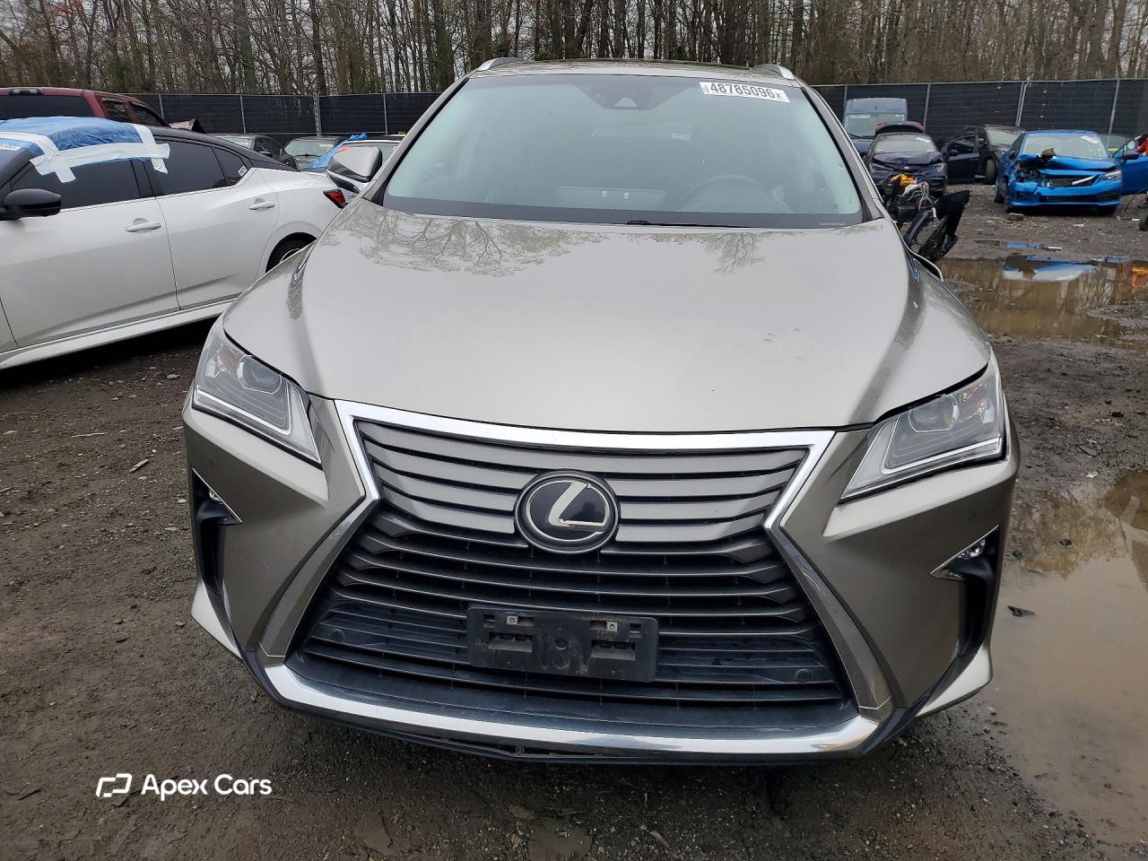 Lexus RX 2019