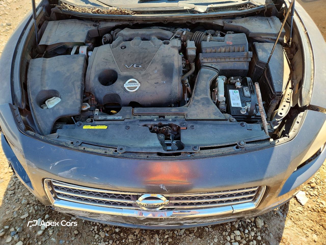 Nissan Maxima 2010