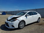 Toyota Corolla 2014