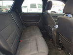 Ford Escape 2011
