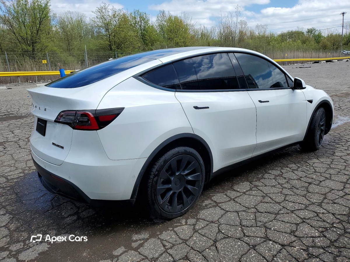 Tesla Model Y 2021