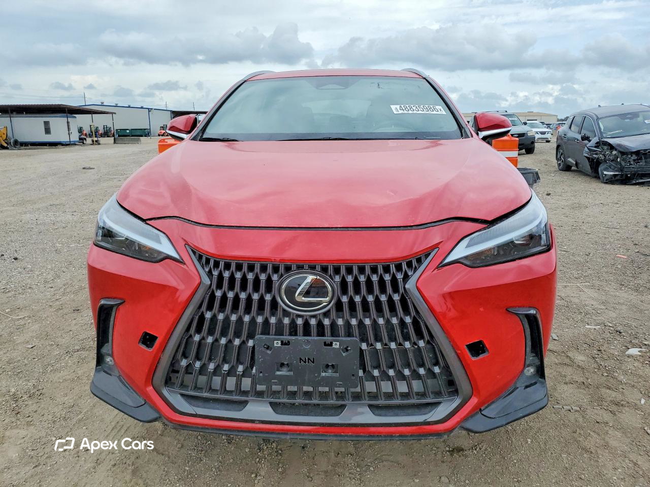 Lexus NX 2024
