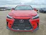 Lexus NX 2024