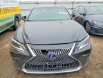 Lexus ES 2019