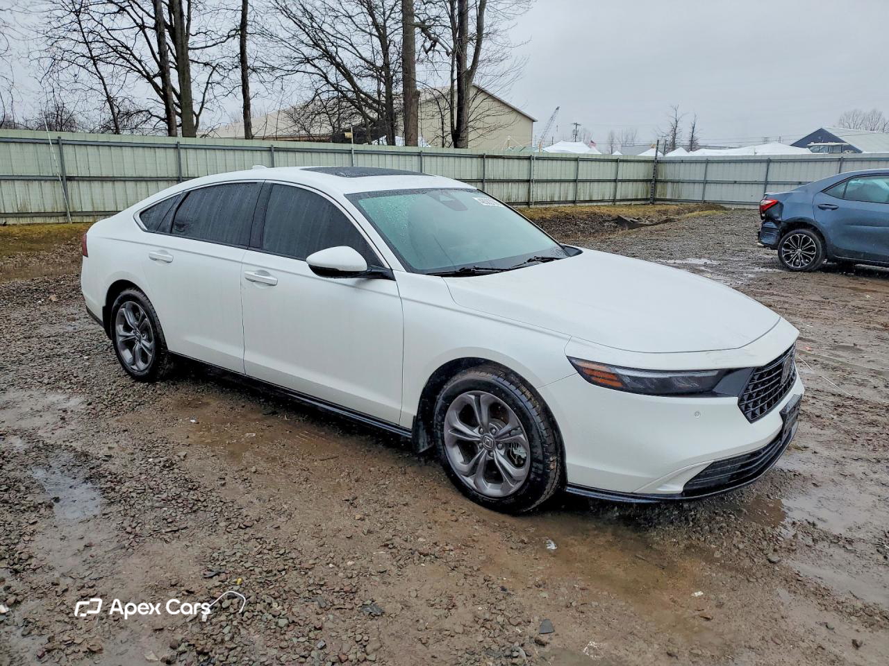 Honda Accord 2024