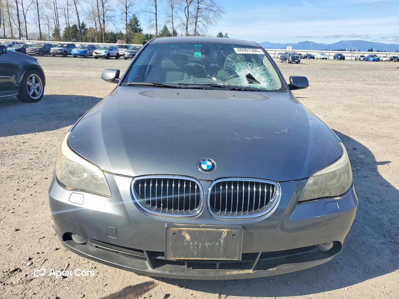 BMW Series 5 2007