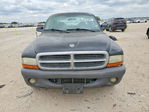 Dodge Dakota 2004
