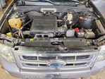 Ford Escape 2009