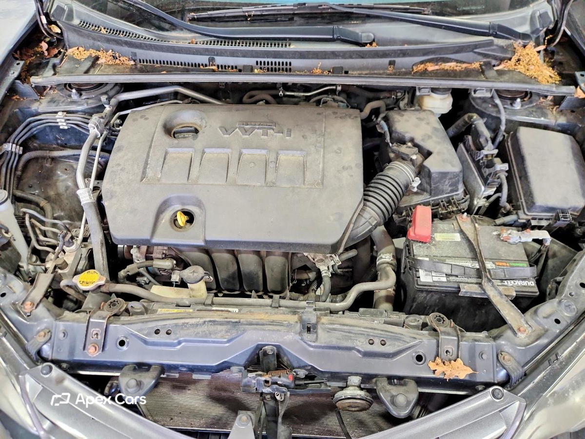 Toyota Corolla 2016