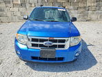 Ford Escape 2012