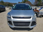 Ford Escape 2015