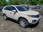 Kia Sorento 2011