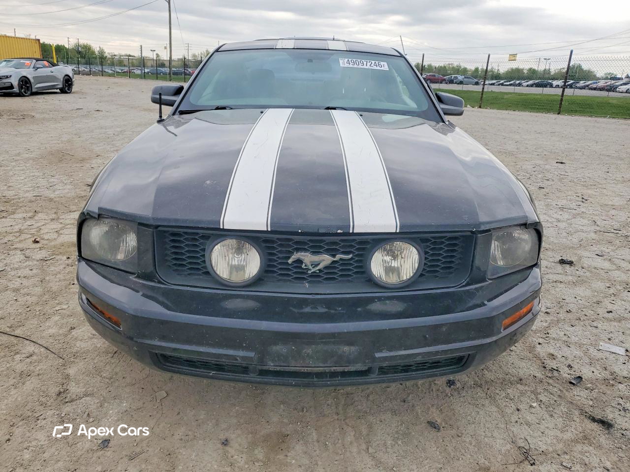 Ford Mustang 2005