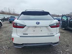 Lexus RX 2019