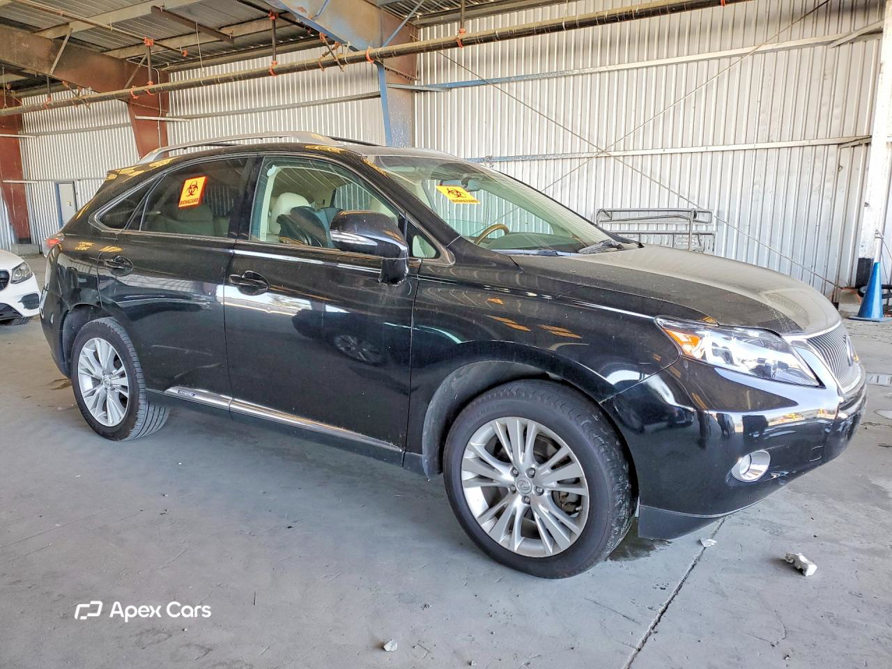 Lexus RX 2010