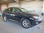 Lexus RX 2010