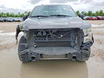 Ford F-150 2016