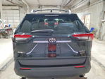 Toyota RAV 4 2025