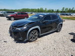Lexus UX 2020