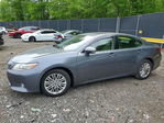 Lexus ES 2014